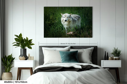 a white dog standing on a bed in a room