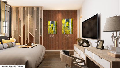 a bed room with a neatly made bed and a flat screen tv