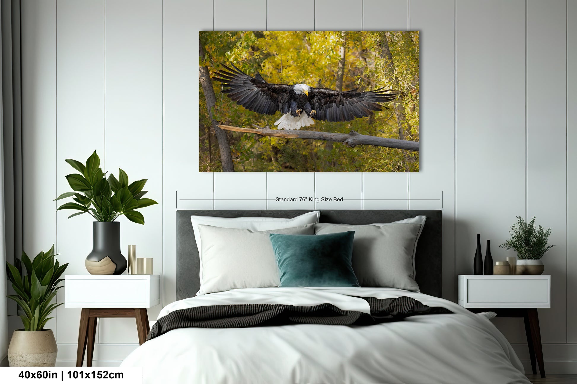 a bald eagle landing on a branch in a forest