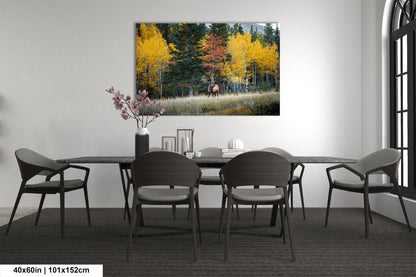a dining room with a table and chairs