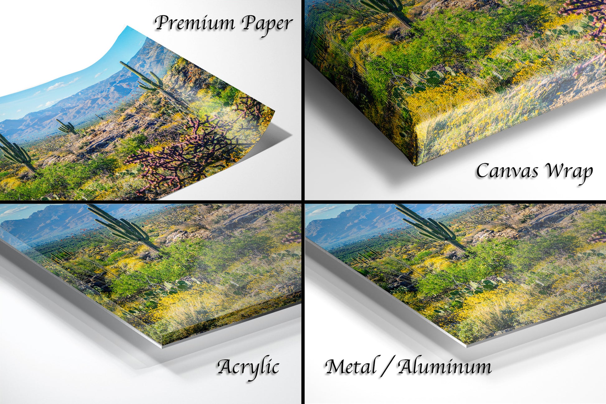 The image is a collage of four different images, each depicting a desert landscape with cacti and mountains in the background. The images are labeled as "Premium Paper", "Canvas Wrap", "Acrylic", and "Metal/Aluminum" to describe the materials used for the prints.