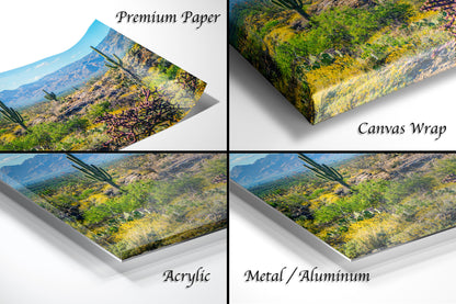 The image is a collage of four different images, each depicting a desert landscape with cacti and mountains in the background. The images are labeled as "Premium Paper", "Canvas Wrap", "Acrylic", and "Metal/Aluminum" to describe the materials used for the prints.