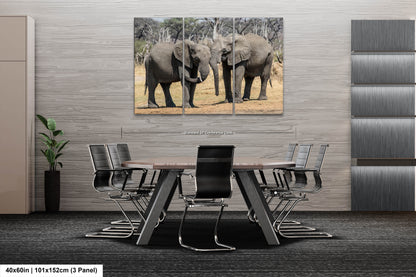 a couple of elephants standing next to each other