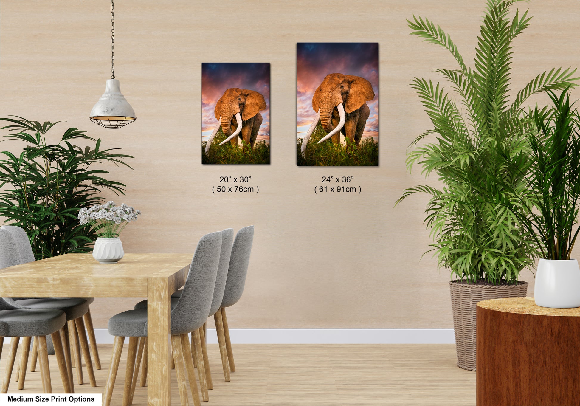 a couple of elephants standing on top of a grass covered field