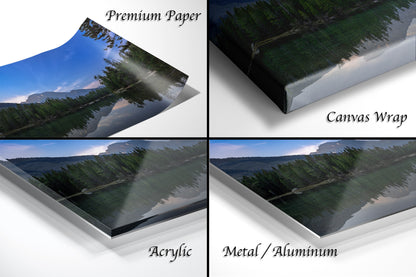 a series of photos of a lake and trees