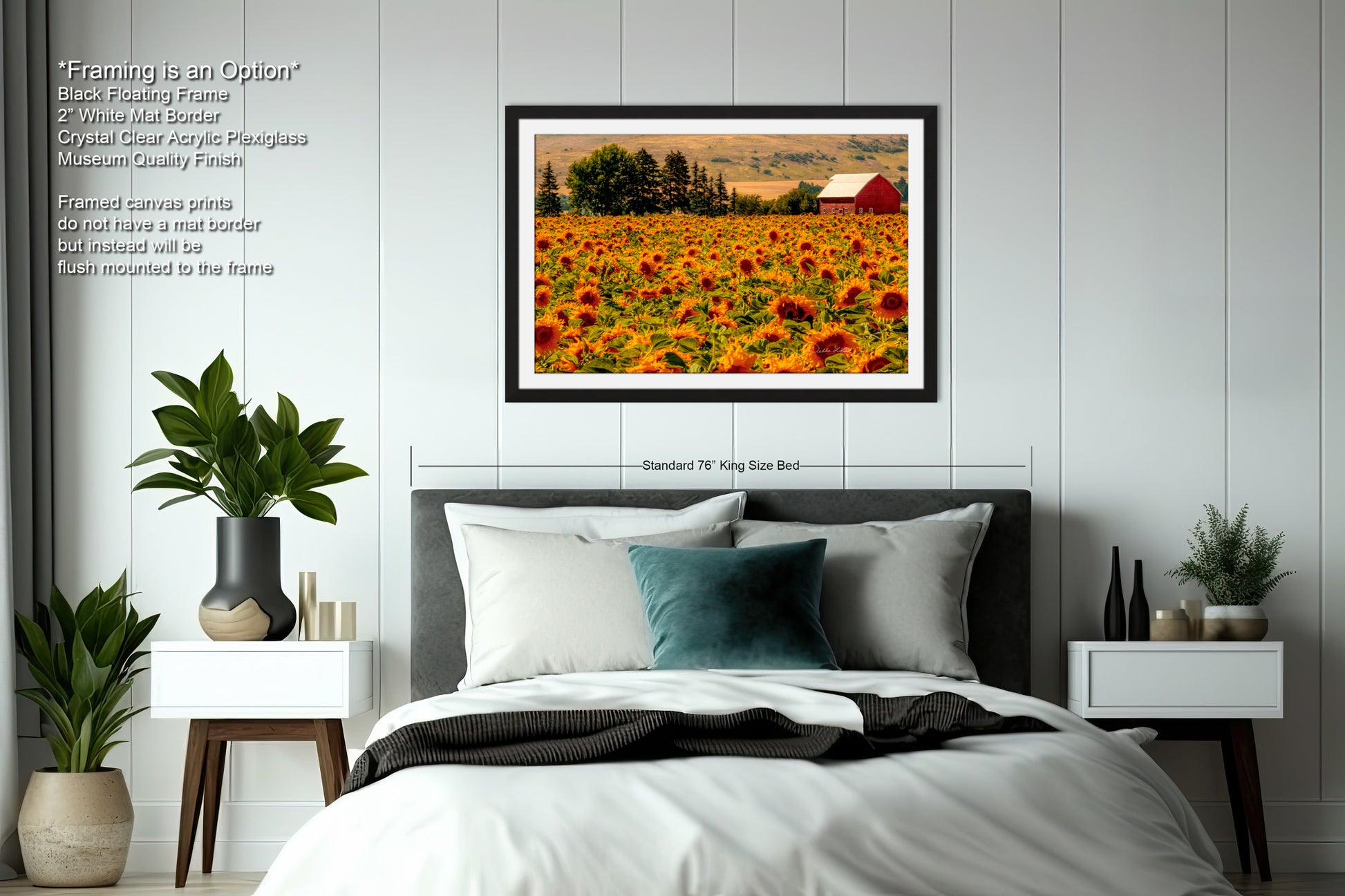a picture of a sunflower field with a barn in the background