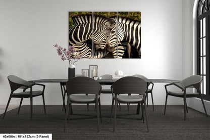 a couple of zebra standing next to each other