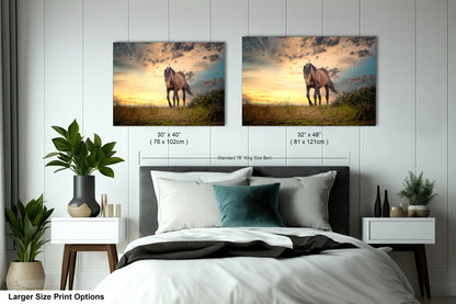 a bed room with two pictures of horses on the wall