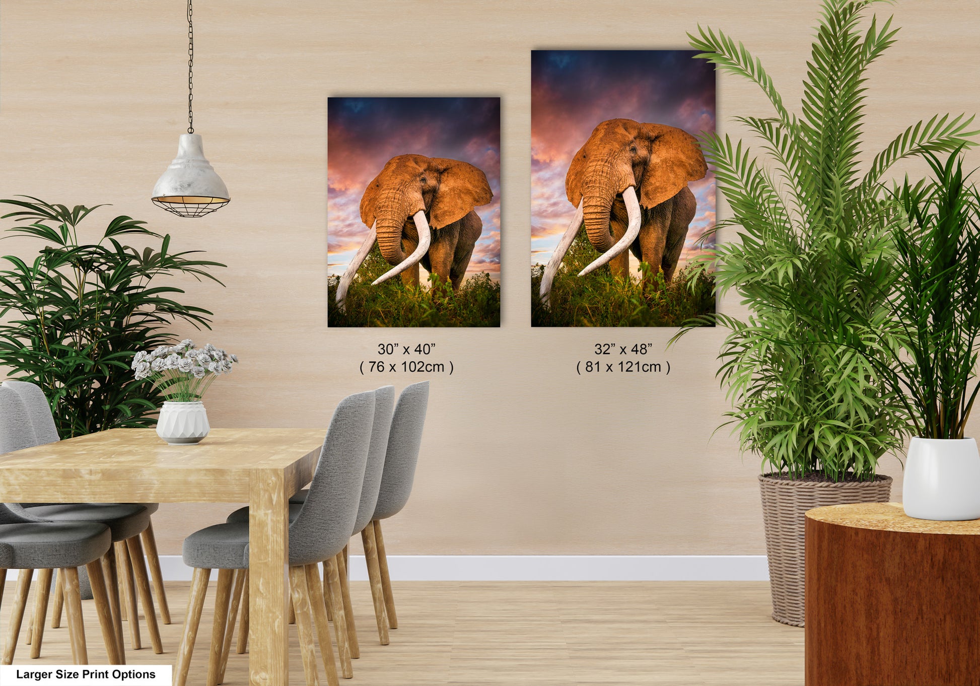 a couple of pictures of an elephant on a wall