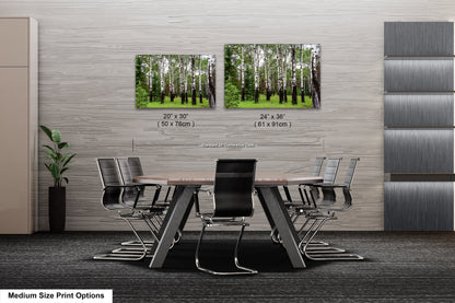 a dining room table with chairs in front of it