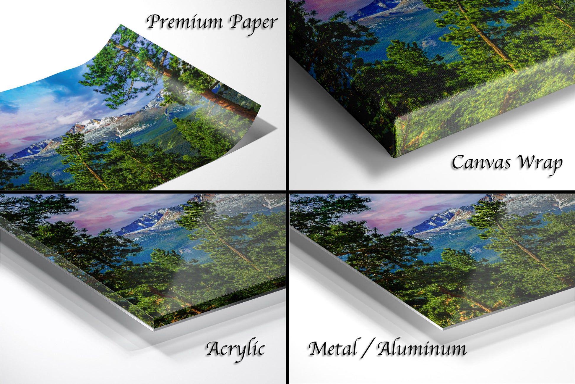 a series of four images showing different views of a forest