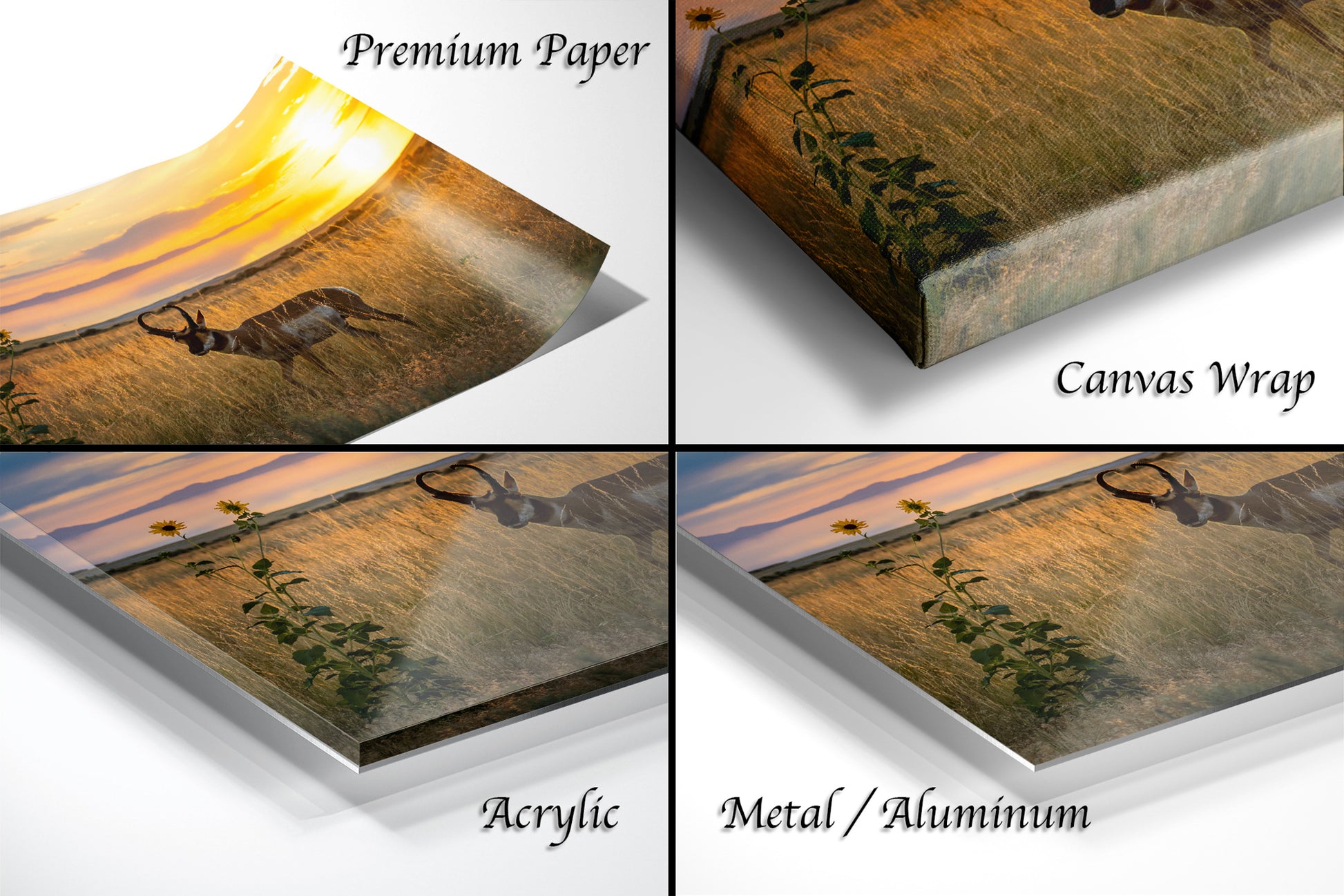 The image is a collage of four different images, each depicting a sunset over a field with a silhouette of a deer. The images are labeled as "Premium Paper", "Canvas Wrap", "Acrylic", and "Metal/Aluminum".
