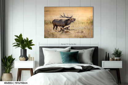a picture of a deer running in a field