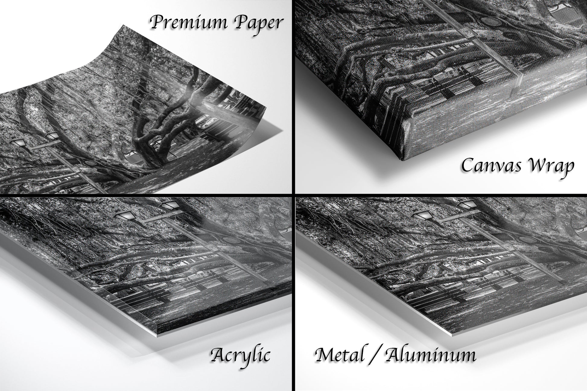 a series of four photos of a forest
