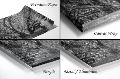 a series of four photos of a forest