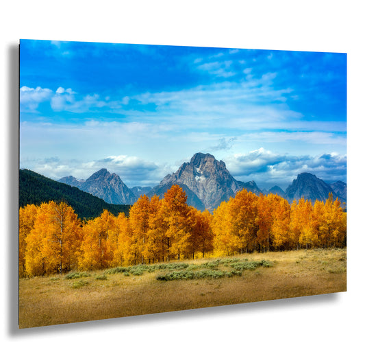 a scenic view of a mountain range with trees in the foreground