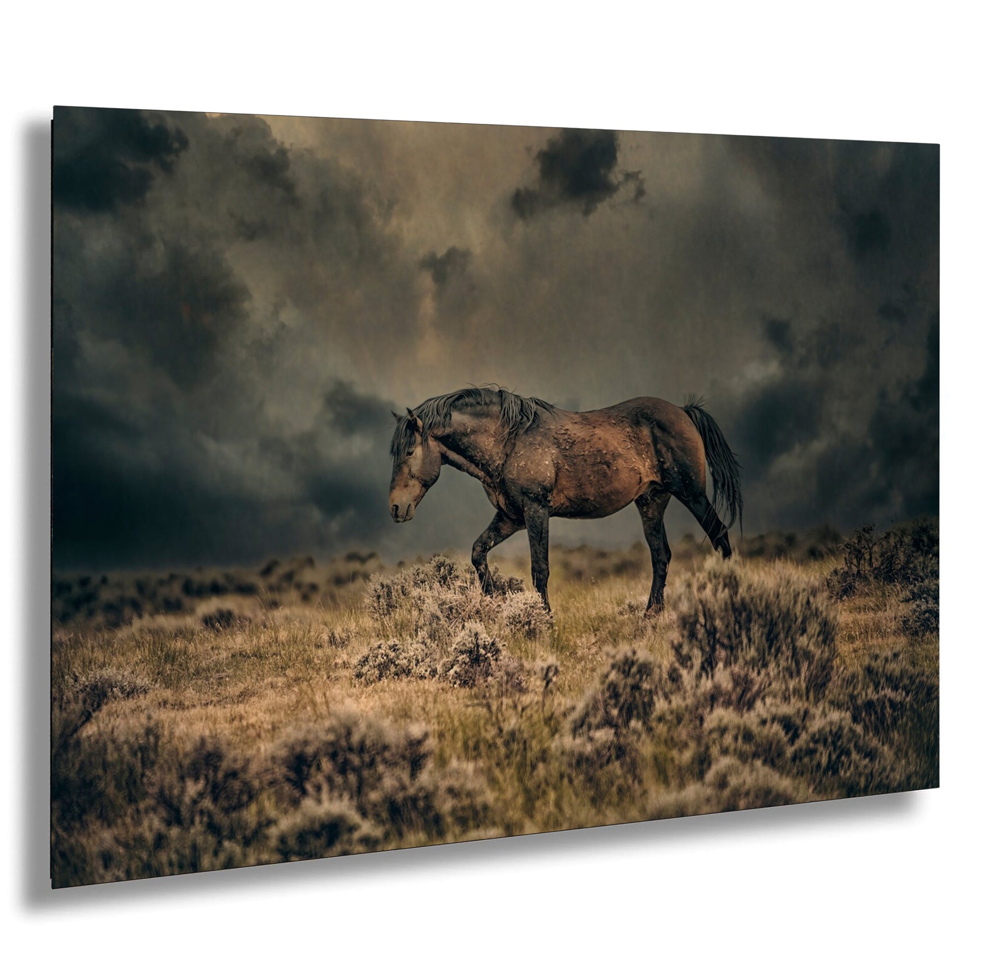 a horse standing in a field under a cloudy sky