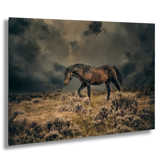 a horse standing in a field under a cloudy sky