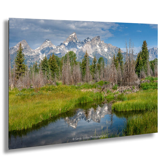 a mountain range is reflected in a small pond