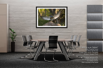 a modern office space with a large framed photograph of a bird in flight hanging on the wall above a wooden table surrounded by black chairs.