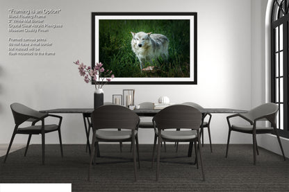 a picture of a white dog in the grass