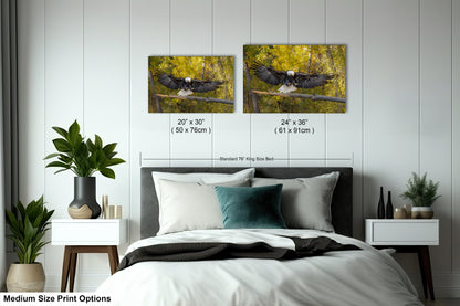a bedroom with two pictures of birds on the wall