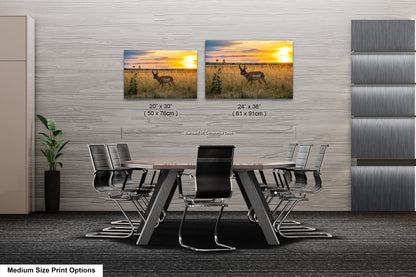a modern office space with a large wooden table surrounded by chairs, and two framed landscape paintings hanging on the wall above the table.