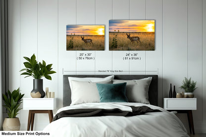 a bedroom with two framed prints of a sunset landscape on the wall above a bed. The prints are of different sizes, with one being larger than the other. The bed has a black and white comforter, and there are potted plants and other decorative items on the nightstands.