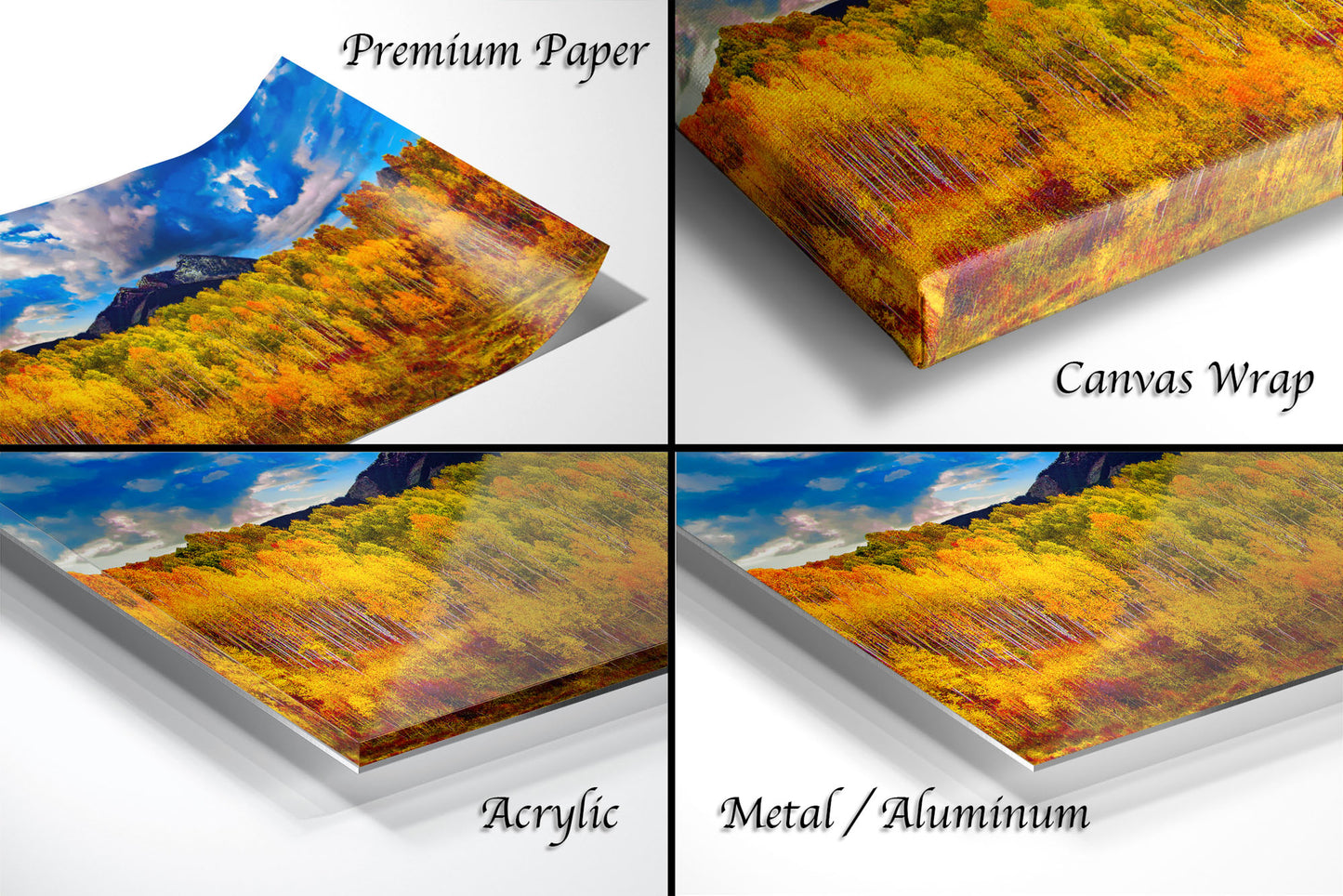 a series of four photos of a forest in autumn
