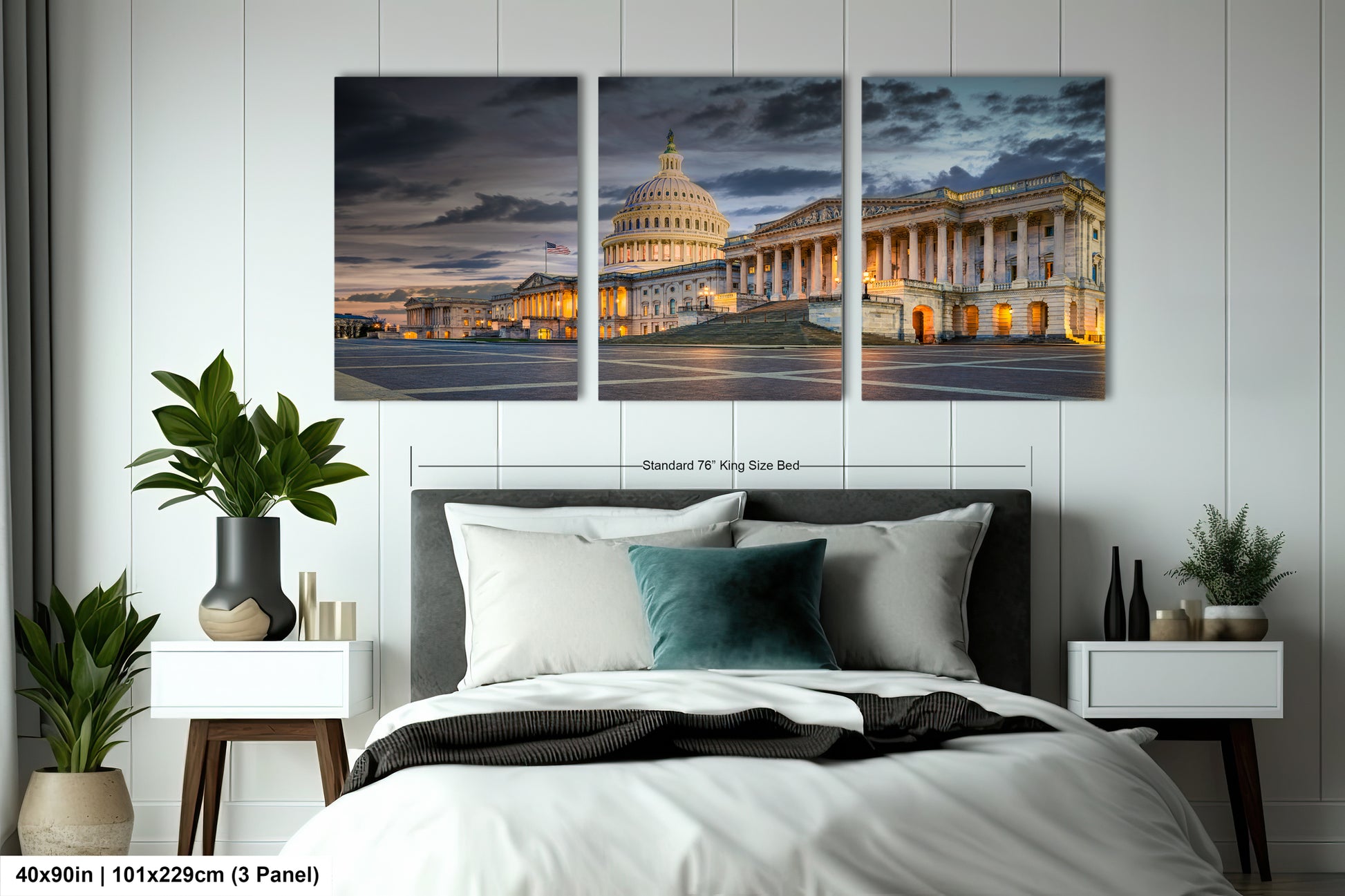 a picture of the capitol building in washington dc