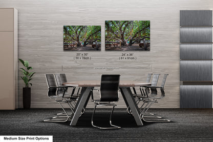 a dining room table with chairs and two pictures on the wall