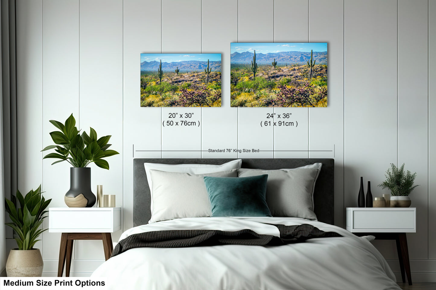 a bedroom with a bed, nightstands, and potted plants. There are two framed landscape photographs hanging on the wall above the bed, depicting a desert scene with mountains in the background.