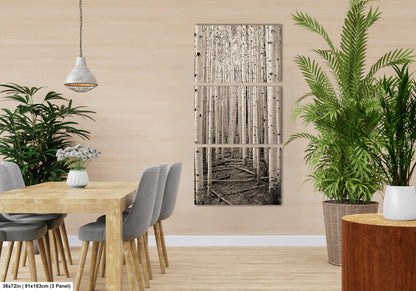 a dining room with a table and chairs