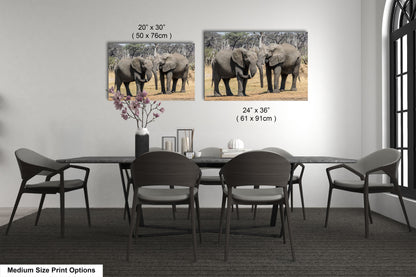a dining room table with chairs and two pictures of elephants on the wall