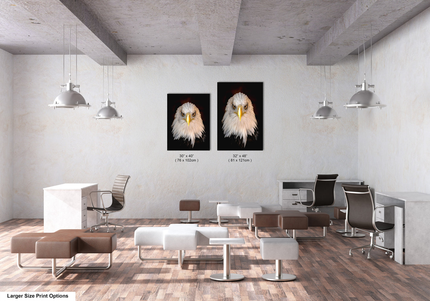two pictures of an eagle's head in a white room