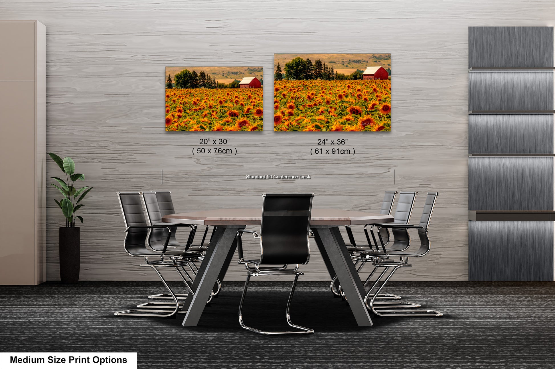 two pictures of a sunflower field with a barn in the background