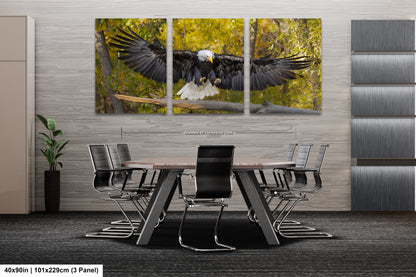 a bald eagle landing on a tree branch split panel canvas wall art