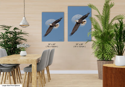 a dining room with a wooden table and chairs, a potted plant, and two framed pictures of a bald eagle in flight.