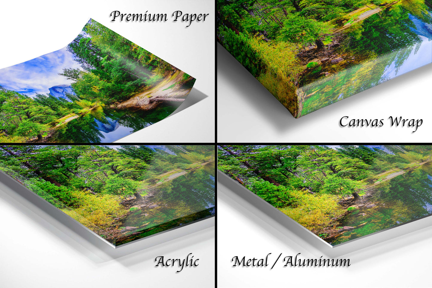 a series of four photos of a forest