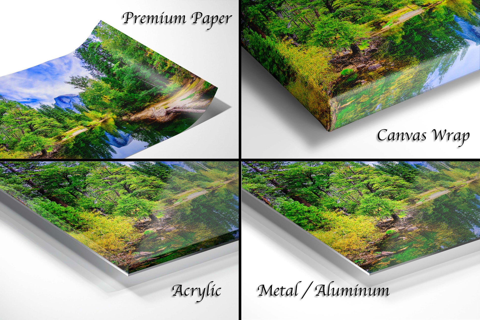a series of four photos of a forest