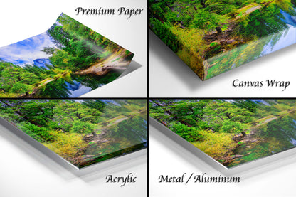 a series of four photos of a forest
