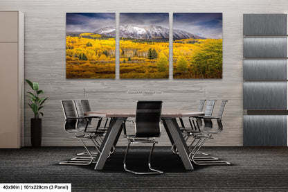 a dining room with a table and chairs