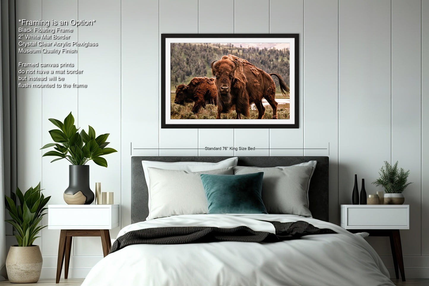 a picture of a bison and its calf in a bedroom