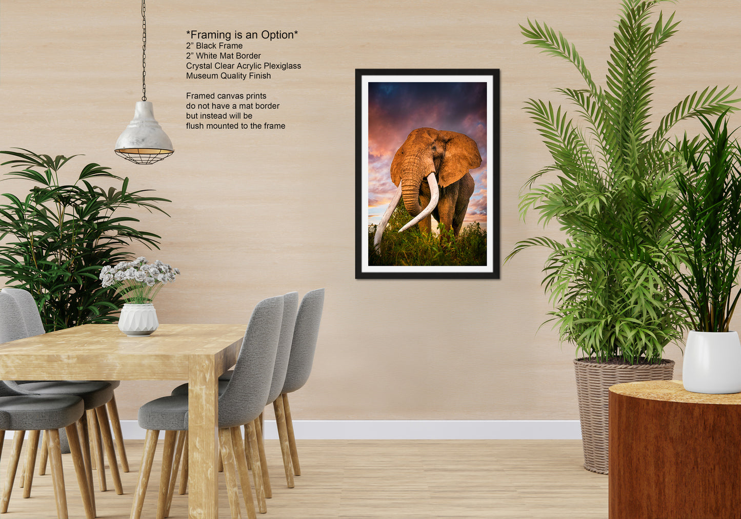 a picture of an elephant in a room