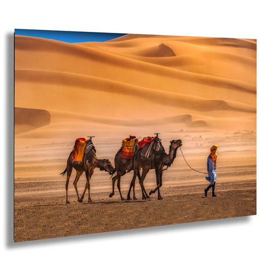 Sahara Desert Canvas Print, Camels, Morocco Photography, Photo Art, Canvas Wall Art, Desert Landscape, Travel Photography
