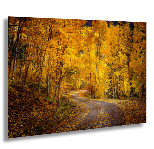 Colorado Aspens, Curvy road, autumn color, Little Cimarron Valley, Rocky Mountains, golden leaves, Photography wall art