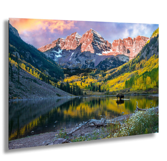 Maroon Bells with moose, Maroon Bells fall picture, Colorado aspens wall art, Autumn colors and mountains, Aspen Colorado landscape print