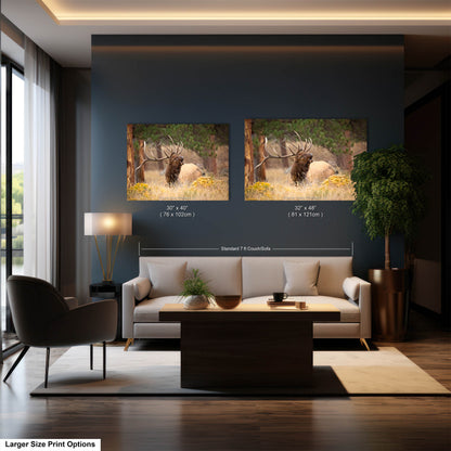 Bull Elk Bugling, Wildlife Wall Canvas, Rocky Mountain National Park, Colorado Canvas Art Prints, Elk Photography, Made in the USA