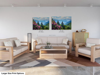 Blue Ridge Mountains and Rhododendrons, Blue Ridge Parkway, North Carolina, Photography wall art