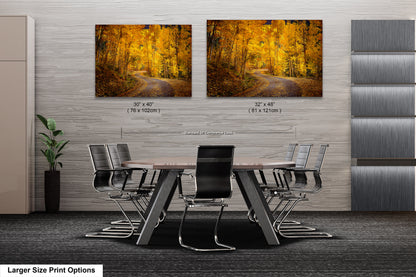 Colorado Aspens, Curvy road, autumn color, Little Cimarron Valley, Rocky Mountains, golden leaves, Photography wall art